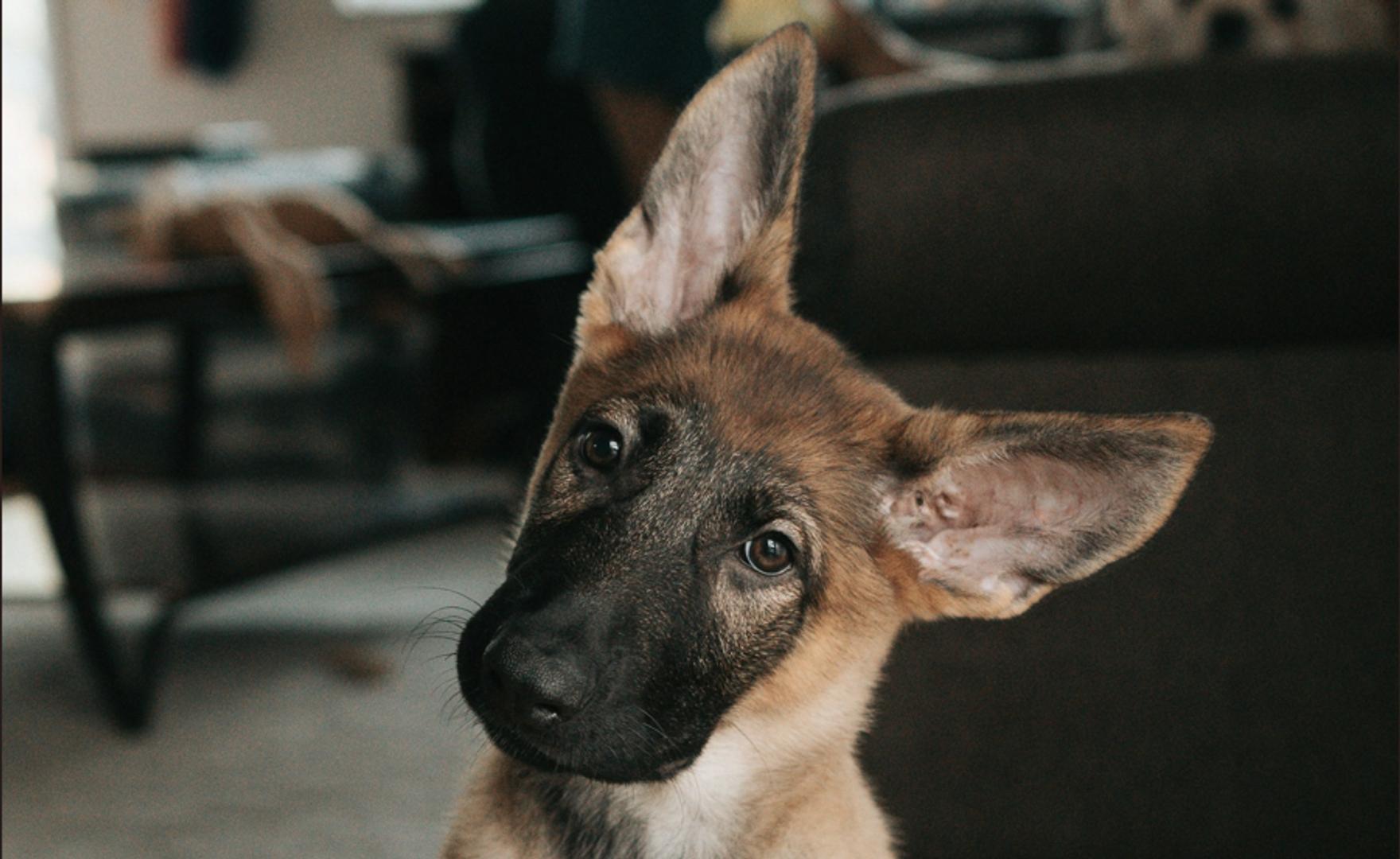 Bitcoin's Sudden Drop Catches Prediction Markets Off Guard: A Reality Check for Crypto Forecasting