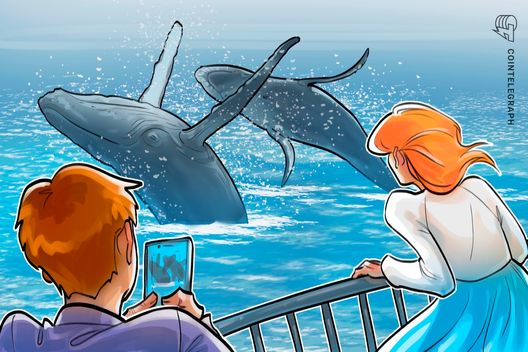 Bitcoin Whales Go on Biggest Shopping Spree of 2025 as BTC Dips Below $90K