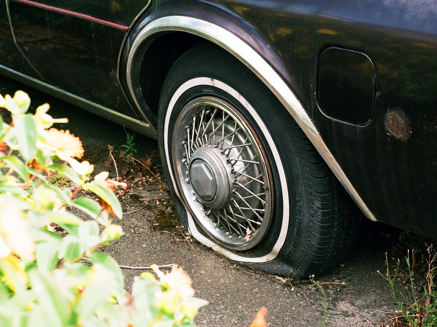 Bitcoin Consolidates While Alternative Cryptocurrencies Face Mounting Pressure Following Fed Decision