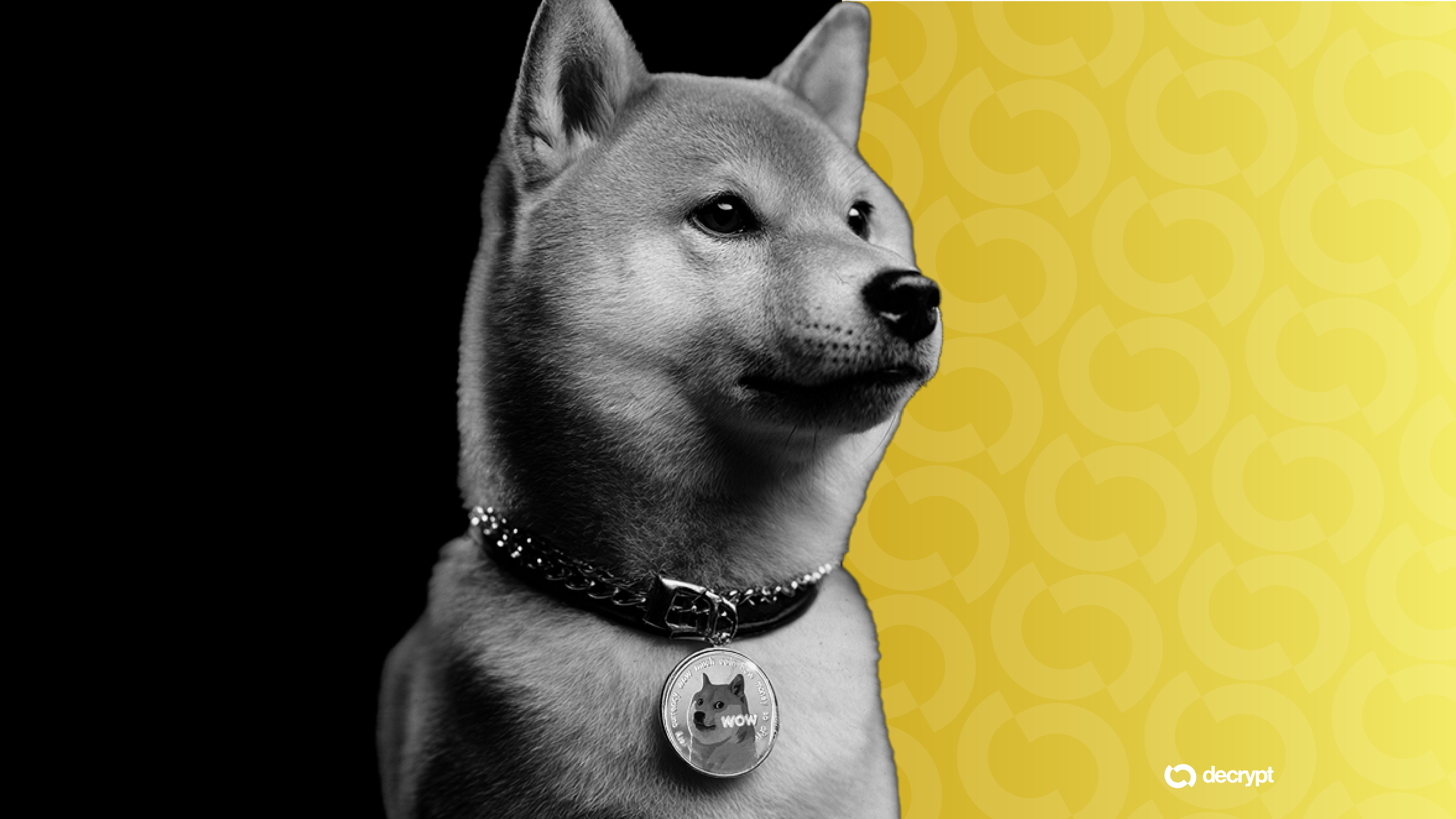 NYSE Arca Greenlights Bitwise Dogecoin ETF as Institutional Access to Meme Coins Expands