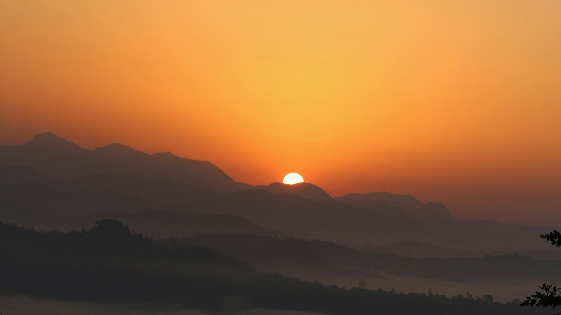 Sunrise Platform Launches to Bridge Solana Tokens While Monad Network Enters Production