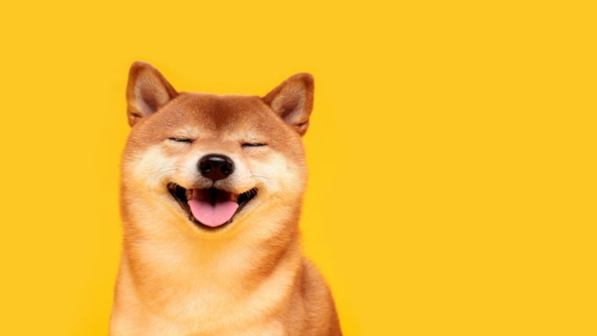 South Korean Trading Frenzy Propels Shiba Inu to 36% Gains in Unexpected Rally